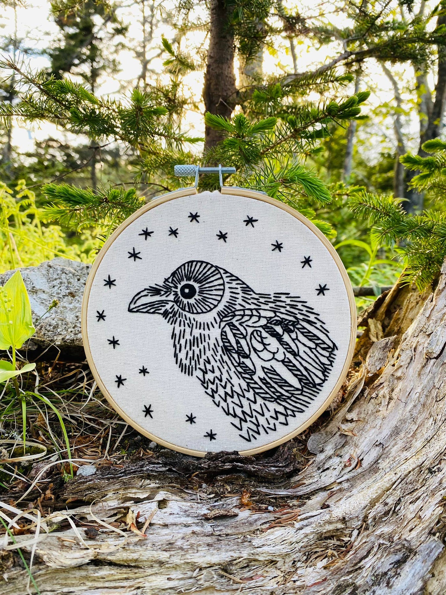 Raven Complete Embroidery Kit