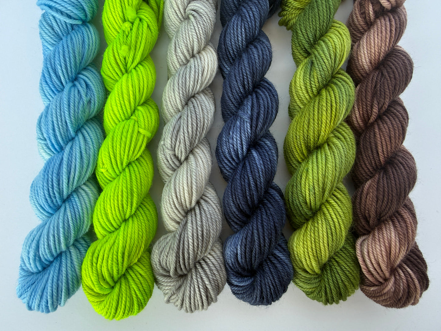 Mini Skein DK Bundle - PNW - Set of 6