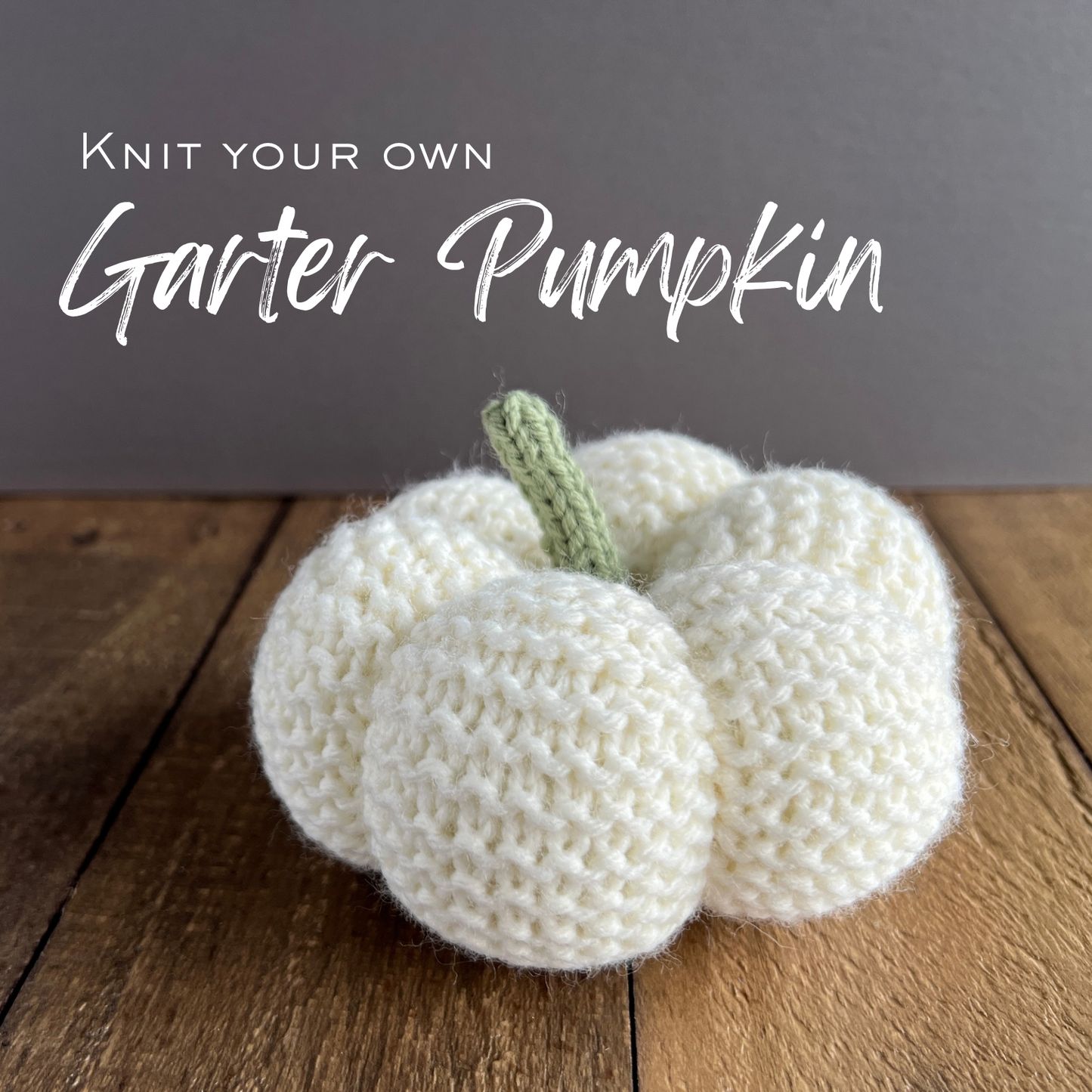 Garter White Pumpkin Knit Kit