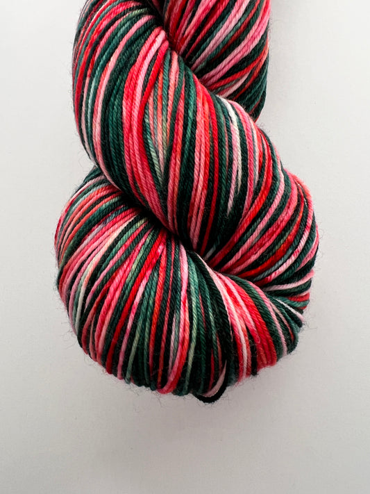 Self-Striping Sock Yarn - Cardinal in the Pines