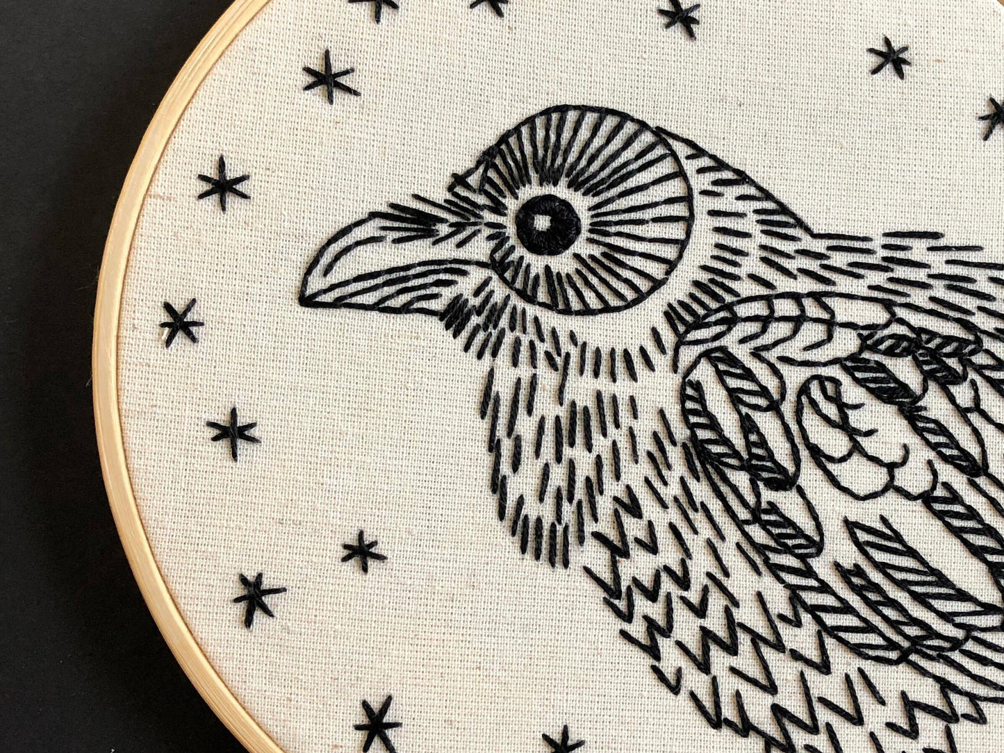 Raven Complete Embroidery Kit