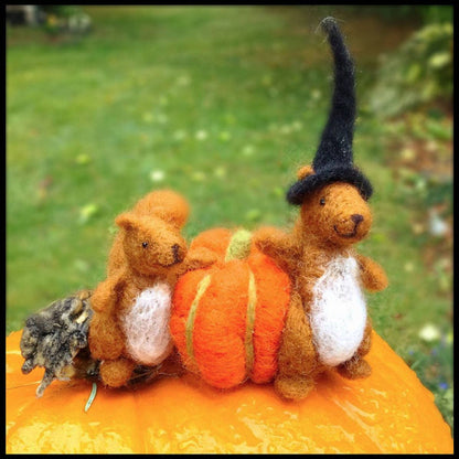 Squirrel Felting Kit