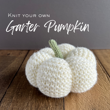 Garter White Pumpkin Knit Kit
