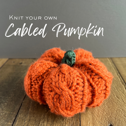 Cabled Pumpkin Knit Kit
