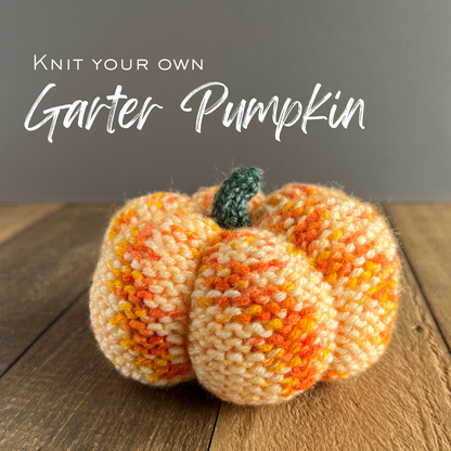 Garter Pumpkin Knit Kit