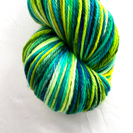 Hand-Dyed Worsted Yarn - Witches Brew